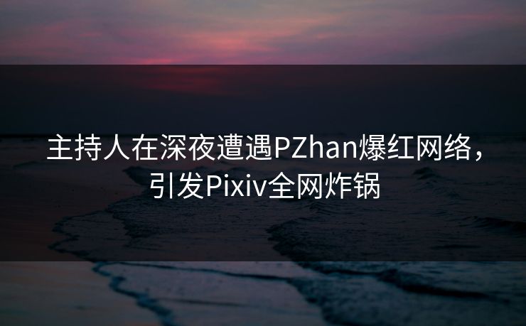 主持人在深夜遭遇PZhan爆红网络，引发Pixiv全网炸锅
