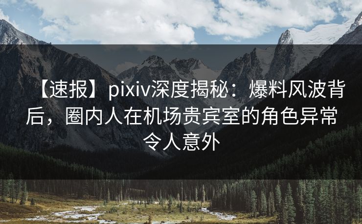 【速报】pixiv深度揭秘：爆料风波背后，圈内人在机场贵宾室的角色异常令人意外