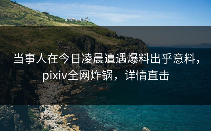 当事人在今日凌晨遭遇爆料出乎意料，pixiv全网炸锅，详情直击