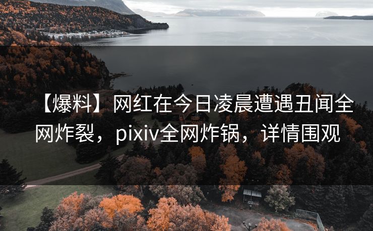 【爆料】网红在今日凌晨遭遇丑闻全网炸裂，pixiv全网炸锅，详情围观