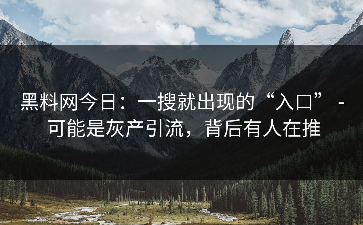 黑料网今日：一搜就出现的“入口” - 可能是灰产引流，背后有人在推